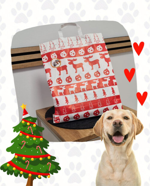 Überraschungstüte für Hunde