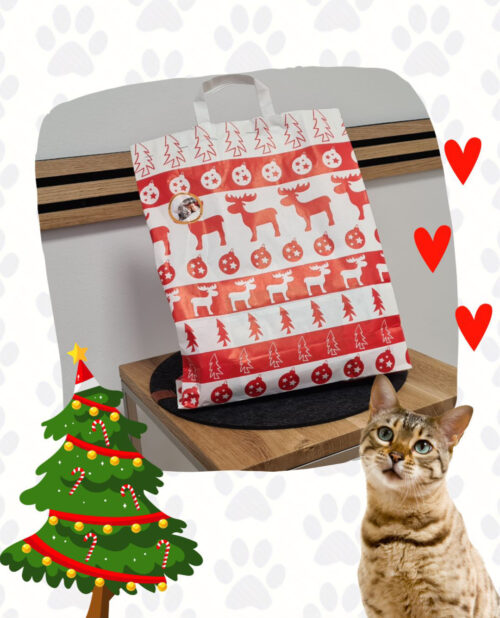 Überraschungstüte für Katzen