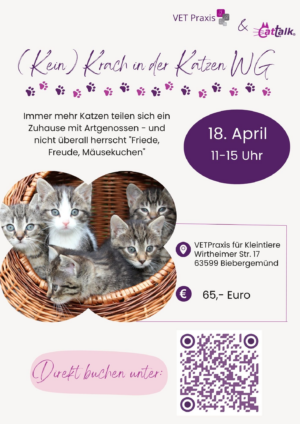 Seminar: Kein Krach in der Katzen WG