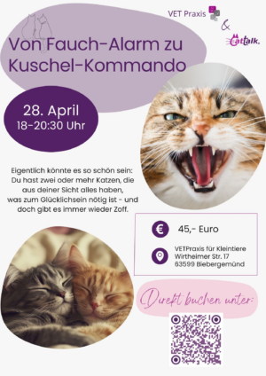 Seminar: Von Fauch-Alarm zu Kuschel-Kommando